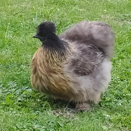 D'hotes Du Port Gautier Bed & Breakfast 3*