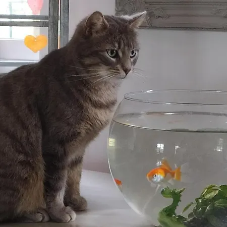 D'hotes Du Port Gautier Bed & Breakfast Vouvray-sur-Loir