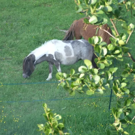 Bed & Breakfast D'hotes Du Port Gautier