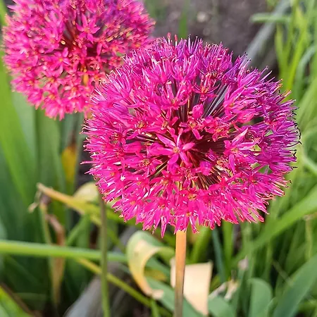 D'hotes Du Port Gautier Bed & Breakfast