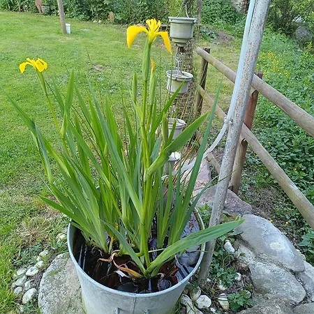D'hotes Du Port Gautier Bed & Breakfast 3*
