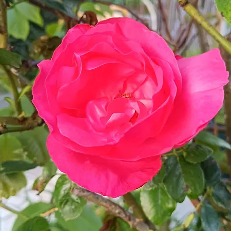 Bed & Breakfast D'hotes Du Port Gautier 3*