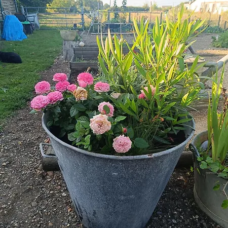 D'hotes Du Port Gautier 3* Vouvray-sur-Loir