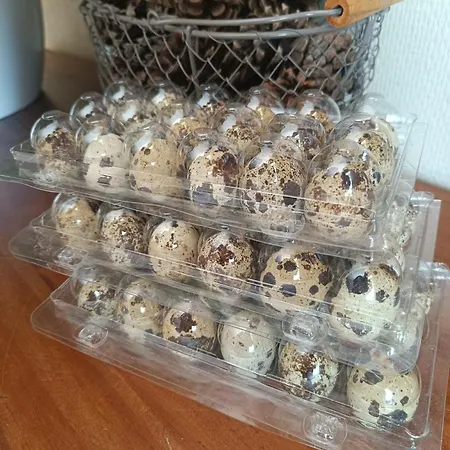 D'hotes Du Port Gautier Bed & Breakfast