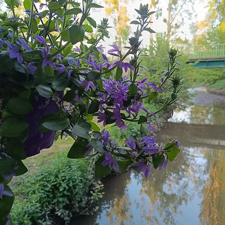 D'hotes Du Port Gautier Bed & Breakfast Vouvray-sur-Loir