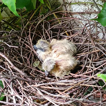 Bed & Breakfast D'hotes Du Port Gautier Vouvray-sur-Loir