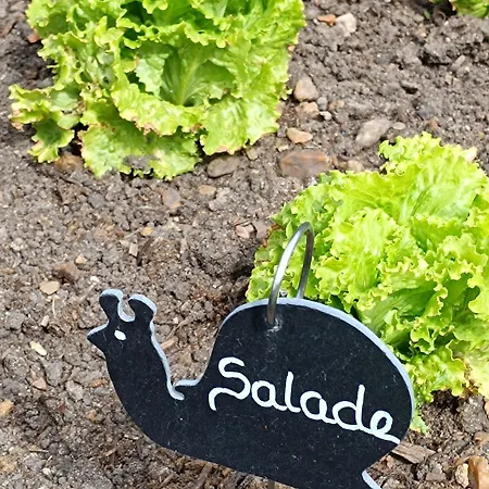 D'hotes Du Port Gautier Vouvray-sur-Loir