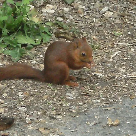 D'hotes Du Port Gautier Bed & Breakfast Vouvray-sur-Loir