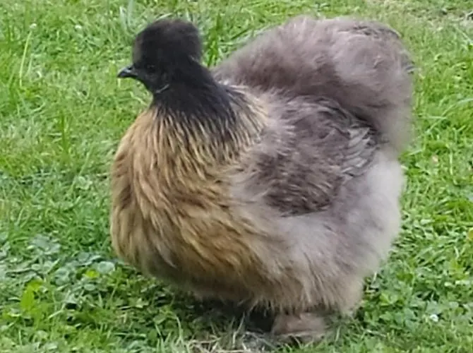 D'hotes Du Port Gautier Bed & Breakfast 3*