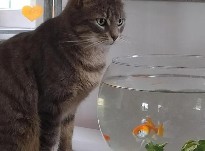 D'hotes Du Port Gautier Couette-café Vouvray-sur-Loir