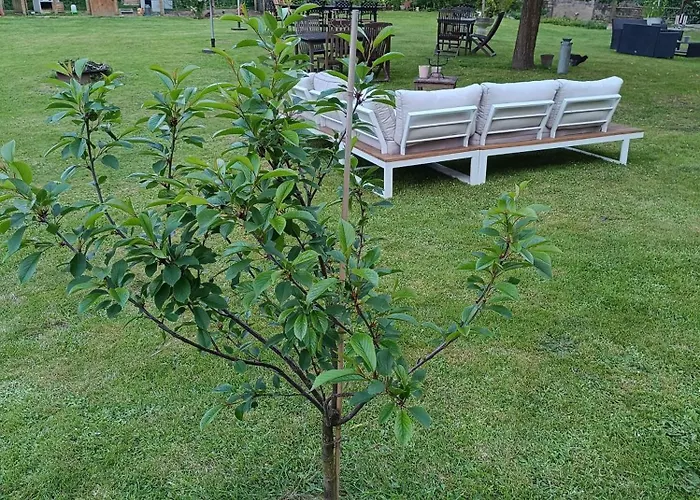 D'hotes Du Port Gautier Vouvray-sur-Loir
