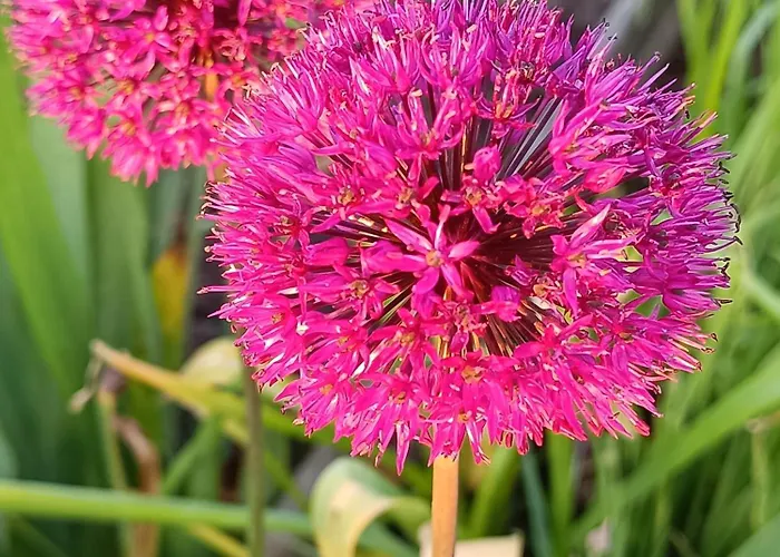 D'hotes Du Port Gautier Frühstückspension