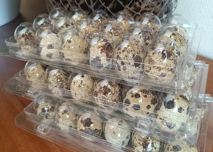 D'hotes Du Port Gautier Bed & Breakfast